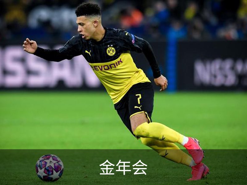 金年会 (中国)官方网站-Jin Nian Hui Sports